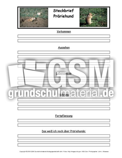 Präriehund-Tiersteckbriefvorlage.pdf